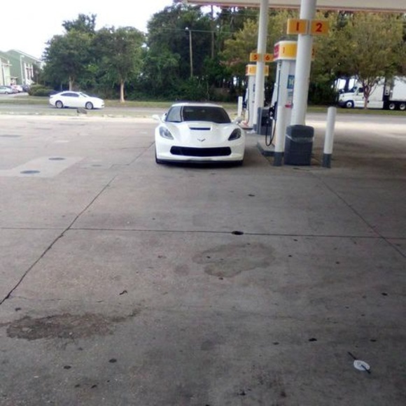 Meet your Posher, Sheree - Picture 1 of 1